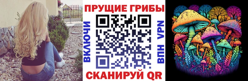 ОМГ ОМГ маркетплейс  Никольск  Галлюциногенные грибы MAGIC MUSHROOMS  купить закладку 